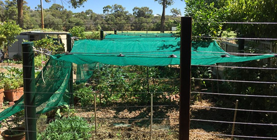 Vegetable Garden Sails